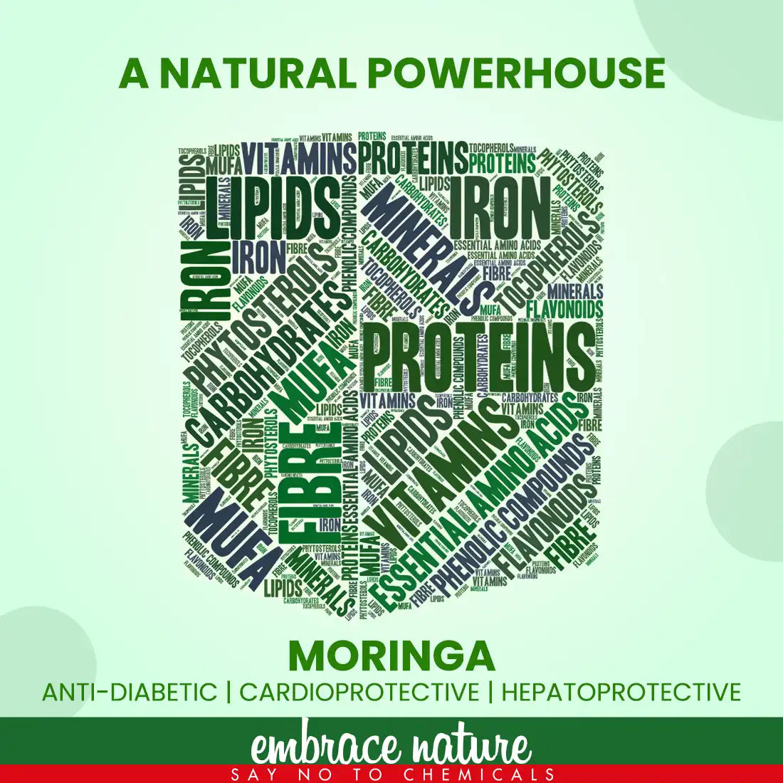 Nature Sure Moringa Leaf Atta Mix Powder for Iron and Calcium Deficiency - 200g