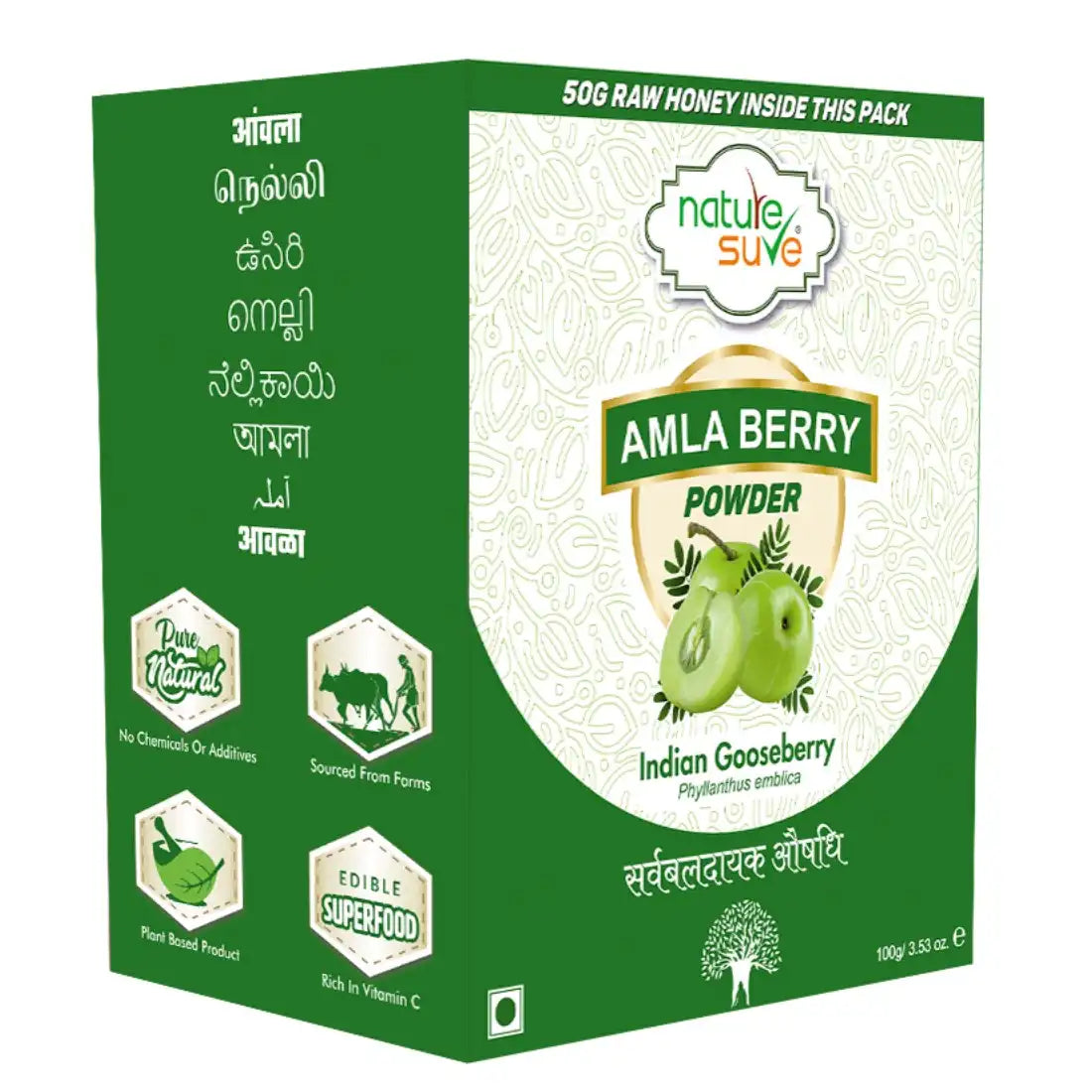 Nature Sure Amla Berry Powder For Skin, Hair and Gut Health - 100g