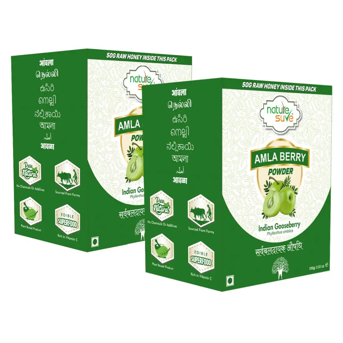 Nature Sure Amla Berry Powder For Skin, Hair and Gut Health - 100g